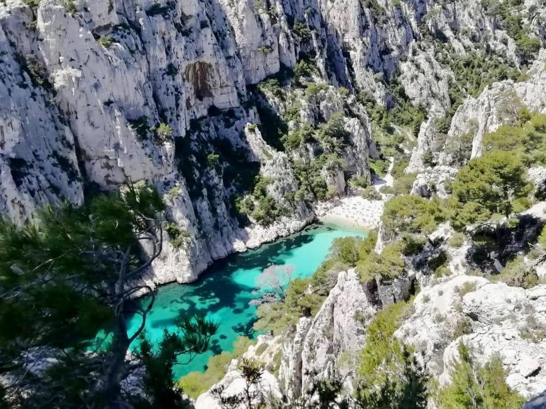 L'Elegant Lumineux Ancien Couvent Leilighet Marseille Eksteriør bilde